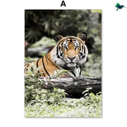 Dschungeltiere Poster Dschungel-Deko.de