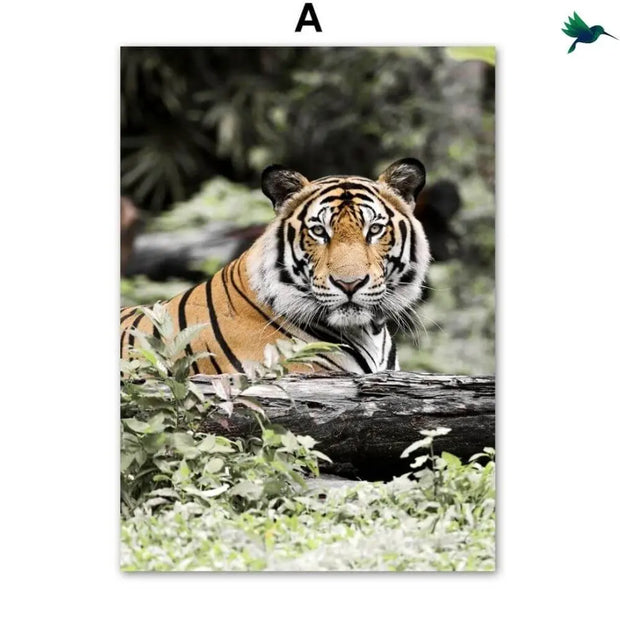 Dschungeltiere Poster Dschungel-Deko.de