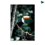 Deko-Poster Dschungel Dschungel-Deko.de