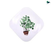 Dessertteller Quadrat Tropisches Design - Dschungel-Deko.de