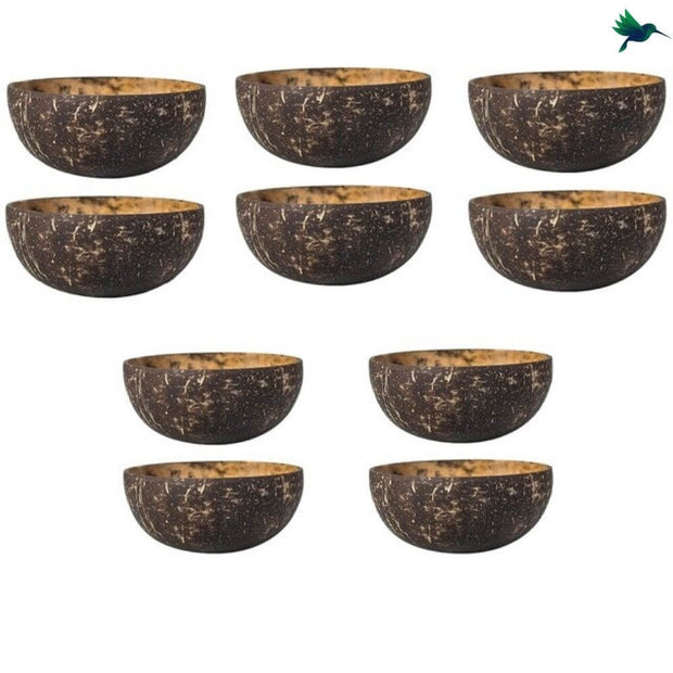 Kokosnuss Schale Exotisch - Dschungel-Deko.de