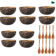 Kokosnuss Schale Exotisch - Dschungel-Deko.de