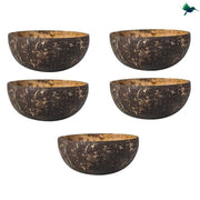 Kokosnuss Schale Exotisch - Dschungel-Deko.de