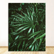 Wandbild Dschungel-Tiefe Dschungel-Deko.de