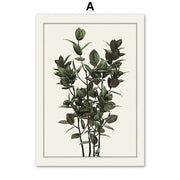 Vintage Poster Tropenblätter Dschungel-Deko.de