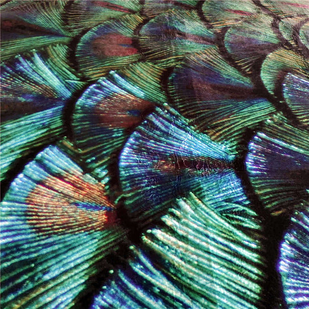 Teppich Pfau Motiv Exotisch - Dschungel-Deko.de