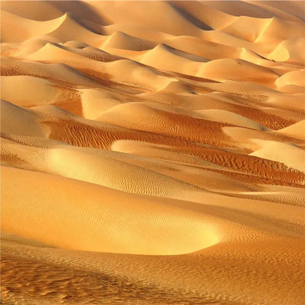 Wandtapete Wüste Dschungel-Deko.de