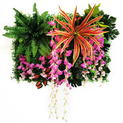 Einzigartiges Pflanzenbild Dschungel-Deko.de