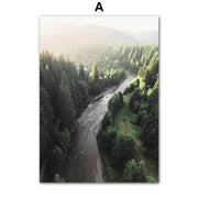 Wandbild Dschungel Wald Dschungel-Deko.de