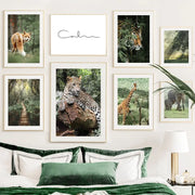 Dschungel Kokos Poster Dschungel-Deko.de