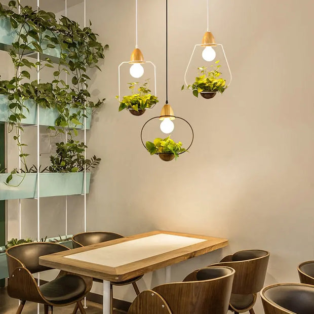 Hängeleuchte mit integriertem Pflanzgefäß Dschungel-Deko.de