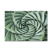 Jungle Pflanzen Poster Dschungel-Deko.de