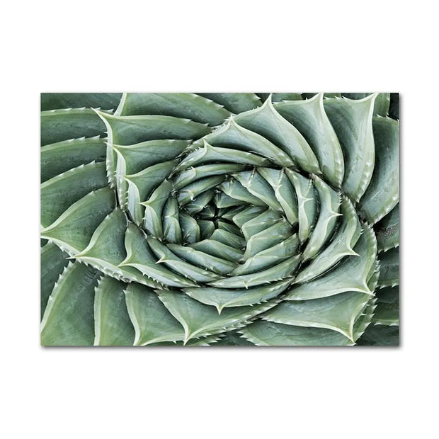 Jungle Pflanzen Poster Dschungel-Deko.de