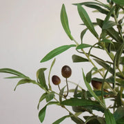 Künstlicher Olivenzweig - Dschungel-Deko.de