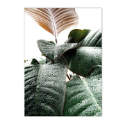 Dschungel-Poster, sanftes Design Dschungel-Deko.de