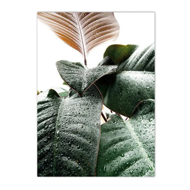 Dschungel-Poster, sanftes Design Dschungel-Deko.de