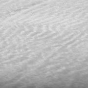 Dschungel Teppich Mit Zebramotiv In Naturtönen - Dschungel-Deko.de