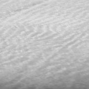 Löwen Babyteppich Exotisches Design Für Kinderzimmer - Dschungel-Deko.de