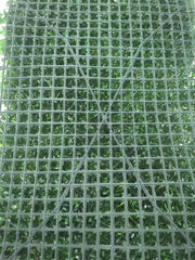 Pflanzentafel Minimalistisch Dschungel-Deko.de