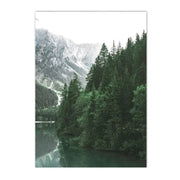 Jungle Landschaft Poster Dschungel-Deko.de